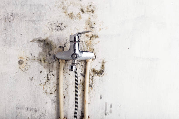 Best Water Damage Restoration  in Chesterfield, MO