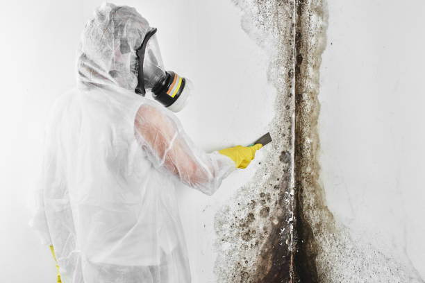 Best Crawl Space Mold Removal  in Chesterfield, MO
