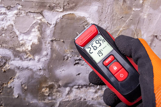 Best Fast Mold Removal  in Chesterfield, MO