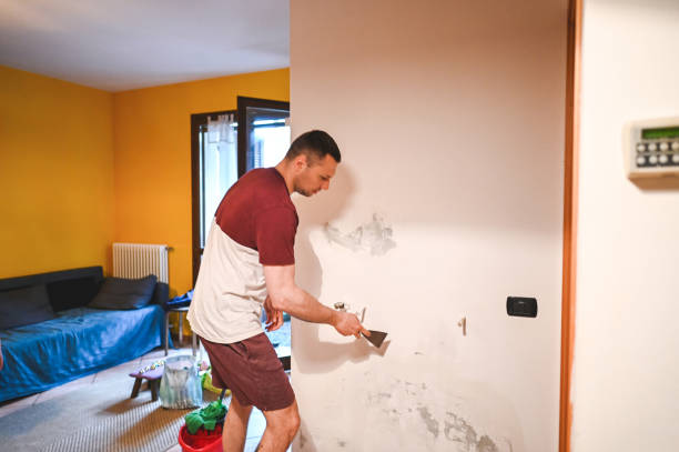 Best Home Mold Removal  in Chesterfield, MO