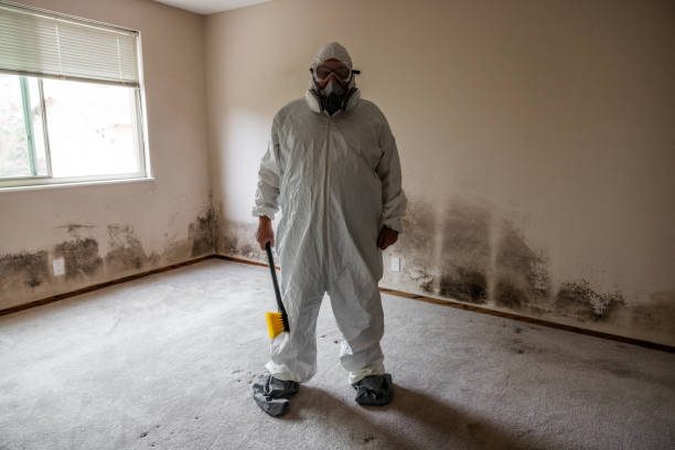 Best Mold Remediation Services  in Chesterfield, MO